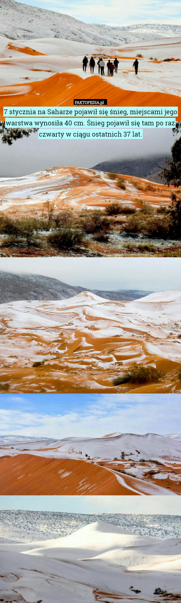 7 stycznia na Saharze pojawił się śnieg, miejscami jego warstwa wynosiła 40 cm. Śnieg pojawił się tam po raz czwarty w ciągu ostatnich 37 lat. 