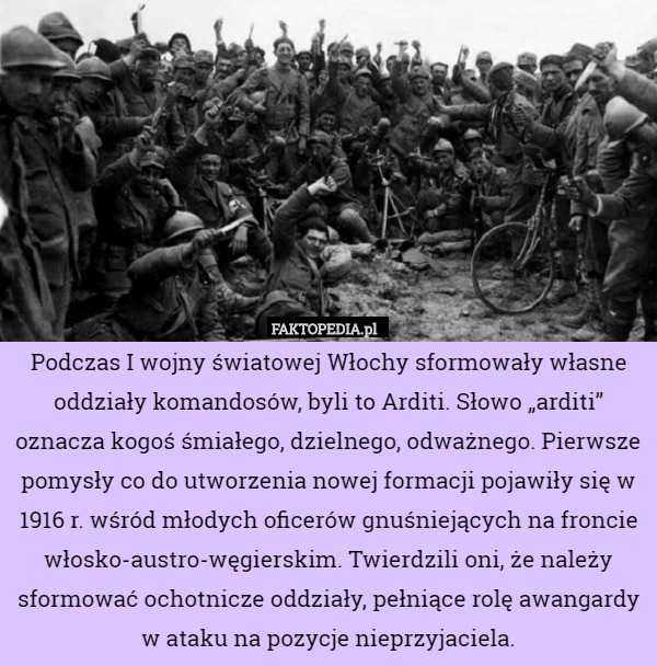 Podczas I wojny światowej Włochy sformowały własne oddziały komandosów, byli to Arditi. Słowo „arditi” oznacza kogoś śmiałego, dzielnego, odważnego. Pierwsze pomysły co do utworzenia nowej formacji pojawiły się w 1916 r. wśród młodych oficerów gnuśniejących na froncie włosko-austro-węgierskim. Twierdzili oni, że należy sformować ochotnicze oddziały, pełniące rolę awangardy w ataku na pozycje nieprzyjaciela. 
