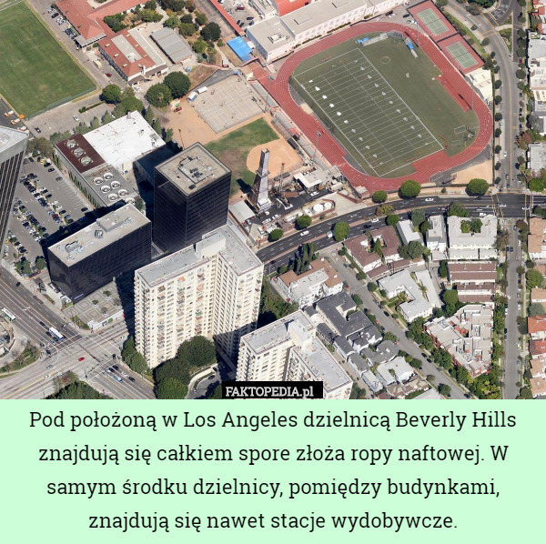 Pod położoną w Los Angeles dzielnicą Beverly Hills znajdują się całkiem spore złoża ropy naftowej. W samym środku dzielnicy, pomiędzy budynkami, znajdują się nawet stacje wydobywcze. 
