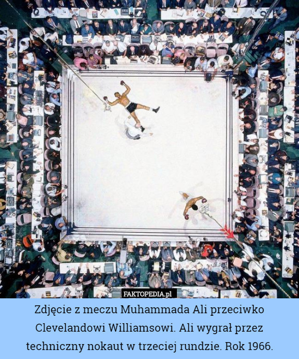 Zdjęcie z meczu Muhammada Ali przeciwko Clevelandowi Williamsowi. Ali wygrał przez techniczny nokaut w trzeciej rundzie. Rok 1966. 