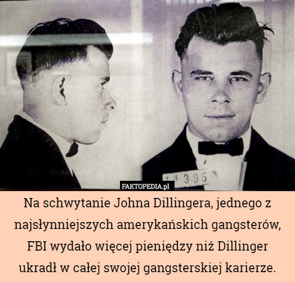 Na schwytanie Johna Dillingera, jednego z najsłynniejszych amerykańskich gangsterów, FBI wydało więcej pieniędzy niż Dillinger ukradł w całej swojej gangsterskiej karierze. 