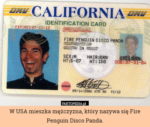 W USA mieszka mężczyzna, który nazywa się Fire Penguin Disco Panda. 