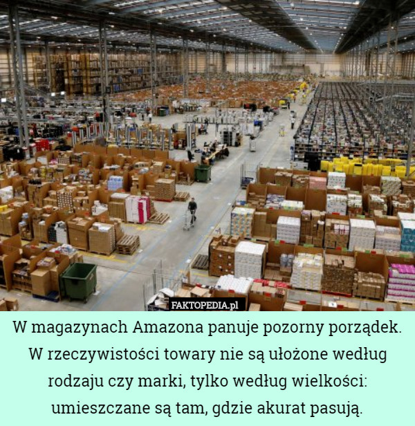 W magazynach Amazona panuje pozorny porządek.
W rzeczywistości towary nie są ułożone według rodzaju czy marki, tylko według wielkości: umieszczane są tam, gdzie akurat pasują. 