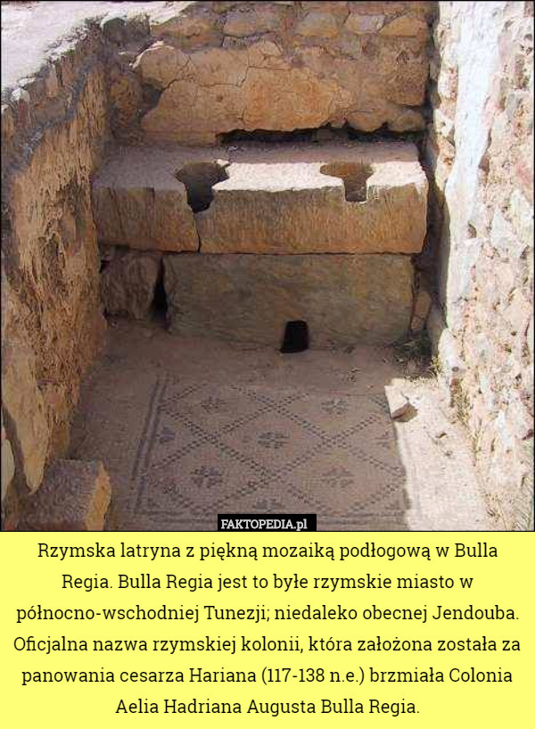 Rzymska latryna z piękną mozaiką podłogową w Bulla Regia. Bulla Regia jest to byłe rzymskie miasto w północno-wschodniej Tunezji; niedaleko obecnej Jendouba.
Oficjalna nazwa rzymskiej kolonii, która założona została za panowania cesarza Hariana (117-138 n.e.) brzmiała Colonia Aelia Hadriana Augusta Bulla Regia. 