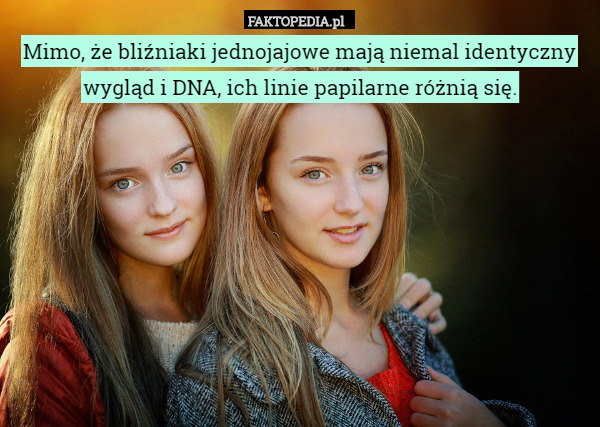 Mimo, że bliźniaki jednojajowe mają niemal identyczny wygląd i DNA, ich linie papilarne różnią się. 
