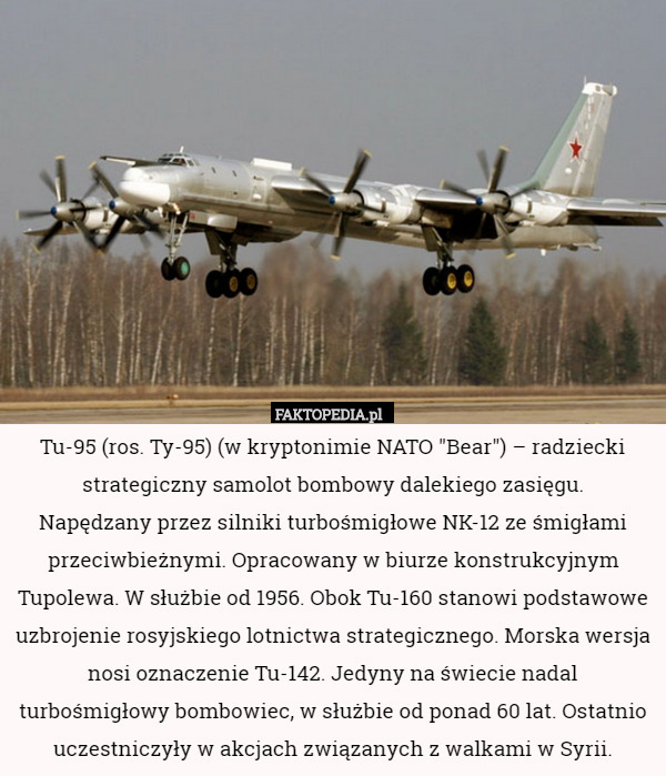 Tu-95 (ros. Ту-95) (w kryptonimie NATO "Bear") – radziecki strategiczny samolot bombowy dalekiego zasięgu.
 Napędzany przez silniki turbośmigłowe NK-12 ze śmigłami przeciwbieżnymi. Opracowany w biurze konstrukcyjnym Tupolewa. W służbie od 1956. Obok Tu-160 stanowi podstawowe uzbrojenie rosyjskiego lotnictwa strategicznego. Morska wersja nosi oznaczenie Tu-142. Jedyny na świecie nadal turbośmigłowy bombowiec, w służbie od ponad 60 lat. Ostatnio uczestniczyły w akcjach związanych z walkami w Syrii. 