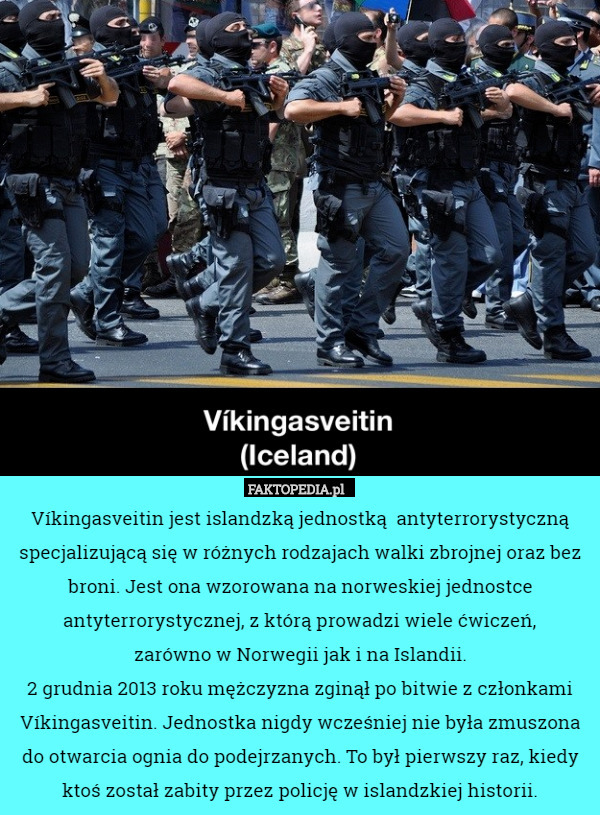 Víkingasveitin jest islandzką jednostką  antyterrorystyczną specjalizującą się w różnych rodzajach walki zbrojnej oraz bez broni. Jest ona wzorowana na norweskiej jednostce antyterrorystycznej, z którą prowadzi wiele ćwiczeń,
 zarówno w Norwegii jak i na Islandii.
2 grudnia 2013 roku mężczyzna zginął po bitwie z członkami Víkingasveitin. Jednostka nigdy wcześniej nie była zmuszona do otwarcia ognia do podejrzanych. To był pierwszy raz, kiedy ktoś został zabity przez policję w islandzkiej historii. 
