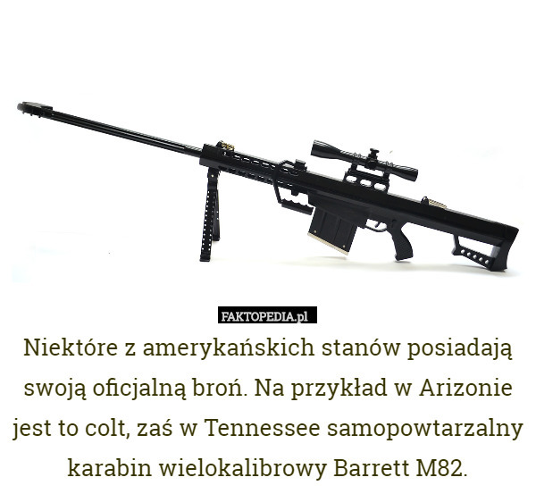 Niektóre z amerykańskich stanów posiadają swoją oficjalną broń. Na przykład w Arizonie jest to colt, zaś w Tennessee samopowtarzalny karabin wielokalibrowy Barrett M82. 