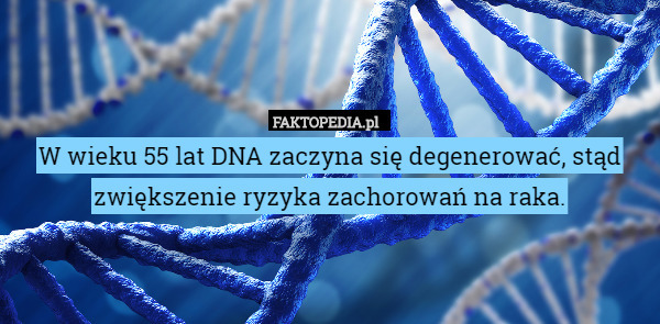 W wieku 55 lat DNA zaczyna się degenerować, stąd zwiększenie ryzyka zachorowań na raka. 