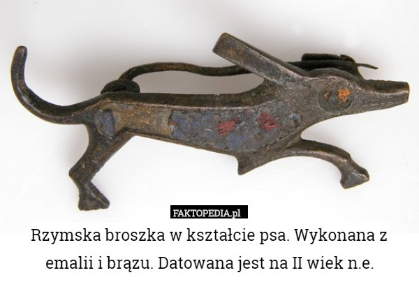 Rzymska broszka w kształcie psa. Wykonana z emalii i brązu. Datowana jest na II wiek n.e. 