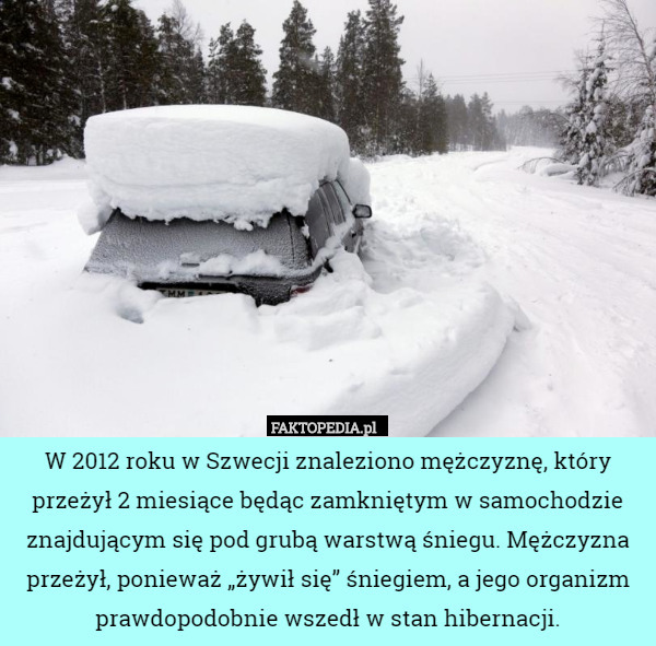 W 2012 roku w Szwecji znaleziono mężczyznę, który przeżył 2 miesiące będąc zamkniętym w samochodzie znajdującym się pod grubą warstwą śniegu. Mężczyzna przeżył, ponieważ „żywił się” śniegiem, a jego organizm prawdopodobnie wszedł w stan hibernacji. 