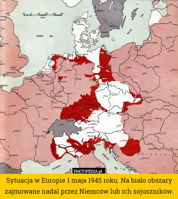 Sytuacja w Europie 1 maja 1945 roku. Na biało obszary zajmowane nadal przez Niemców lub ich sojuszników. 