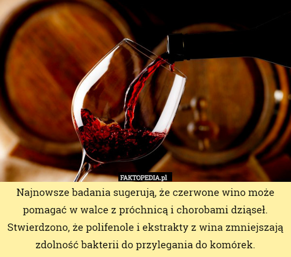 Najnowsze badania sugerują, że czerwone wino może pomagać w walce z próchnicą i chorobami dziąseł. Stwierdzono, że polifenole i ekstrakty z wina zmniejszają zdolność bakterii do przylegania do komórek. 