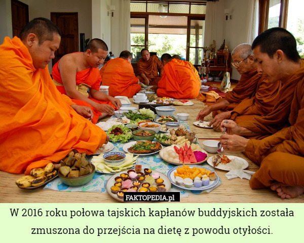 W 2016 roku połowa tajskich kapłanów buddyjskich została zmuszona do przejścia na dietę z powodu otyłości. 
