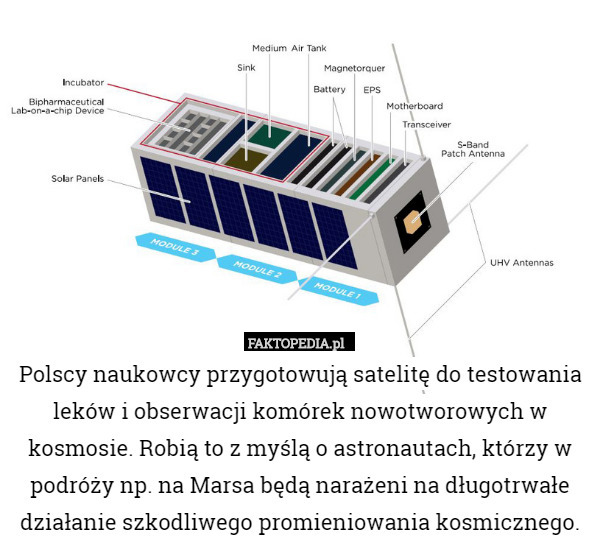 Polscy naukowcy przygotowują satelitę do testowania leków i obserwacji komórek nowotworowych w kosmosie. Robią to z myślą o astronautach, którzy w podróży np. na Marsa będą narażeni na długotrwałe działanie szkodliwego promieniowania kosmicznego. 