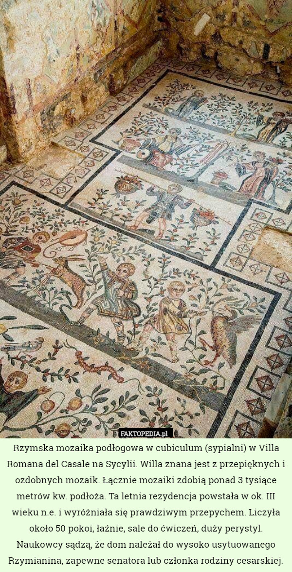Rzymska mozaika podłogowa w cubiculum (sypialni) w Villa Romana del Casale na Sycylii. Willa znana jest z przepięknych i ozdobnych mozaik. Łącznie mozaiki zdobią ponad 3 tysiące metrów kw. podłoża. Ta letnia rezydencja powstała w ok. III wieku n.e. i wyróżniała się prawdziwym przepychem. Liczyła około 50 pokoi, łaźnie, sale do ćwiczeń, duży perystyl. Naukowcy sądzą, że dom należał do wysoko usytuowanego Rzymianina, zapewne senatora lub członka rodziny cesarskiej. 