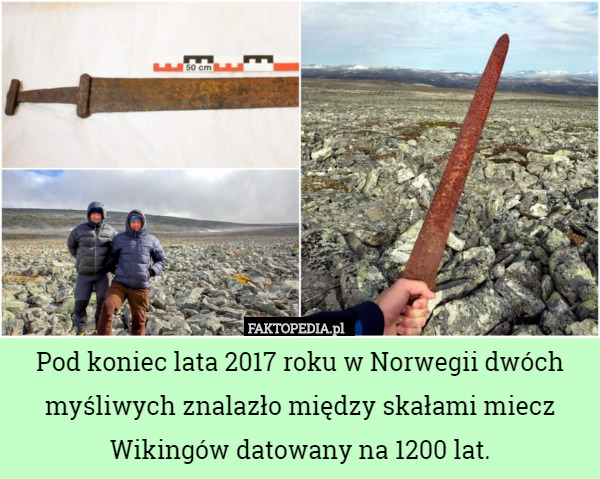 Pod koniec lata 2017 roku w Norwegii dwóch myśliwych znalazło między skałami miecz Wikingów datowany na 1200 lat. 