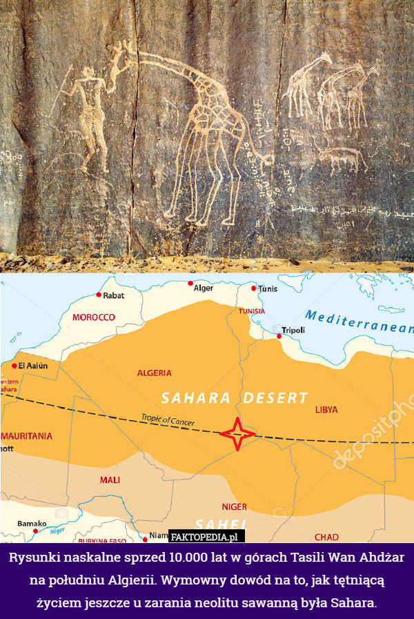 Rysunki naskalne sprzed 10.000 lat w górach Tasili Wan Ahdżar na południu Algierii. Wymowny dowód na to, jak tętniącą życiem jeszcze u zarania neolitu sawanną była Sahara. 