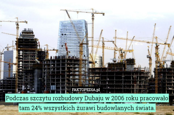 Podczas szczytu rozbudowy Dubaju w 2006 roku pracowało tam 24% wszystkich żurawi budowlanych świata. 