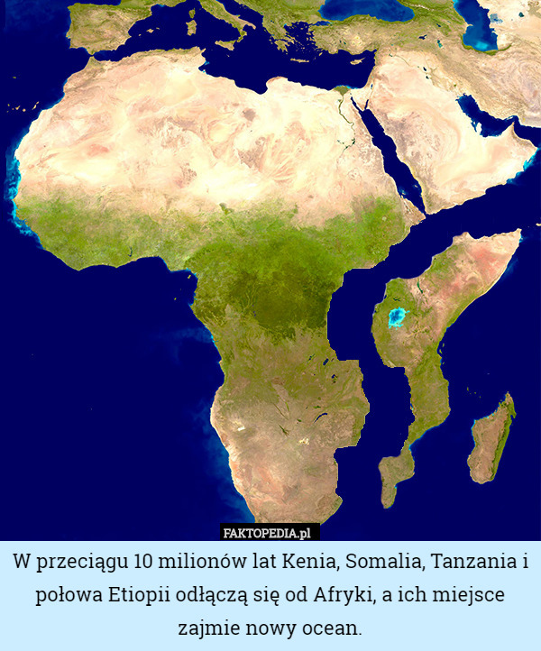 W przeciągu 10 milionów lat Kenia, Somalia, Tanzania i połowa Etiopii odłączą się od Afryki, a ich miejsce zajmie nowy ocean. 