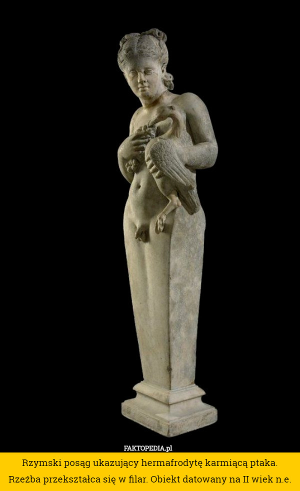 Rzymski posąg ukazujący hermafrodytę karmiącą ptaka. Rzeźba przekształca się w filar. Obiekt datowany na II wiek n.e. 