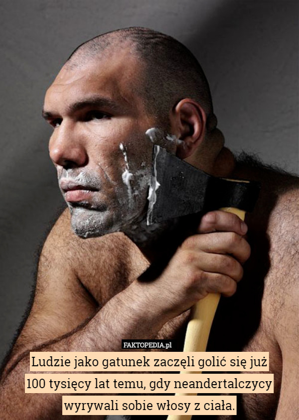 Ludzie jako gatunek zaczęli golić się już
100 tysięcy lat temu, gdy neandertalczycy wyrywali sobie włosy z ciała. 