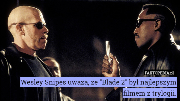 Wesley Snipes uważa, że "Blade 2" był najlepszym filmem z trylogii. 