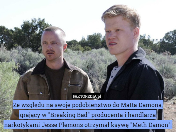 Ze względu na swoje podobieństwo do Matta Damona, grający w "Breaking Bad" producenta i handlarza narkotykami Jesse Plemons otrzymał ksywę "Meth Damon". 