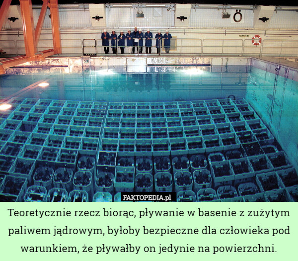 Teoretycznie rzecz biorąc, pływanie w basenie z zużytym paliwem jądrowym, byłoby bezpieczne dla człowieka pod warunkiem, że pływałby on jedynie na powierzchni. 