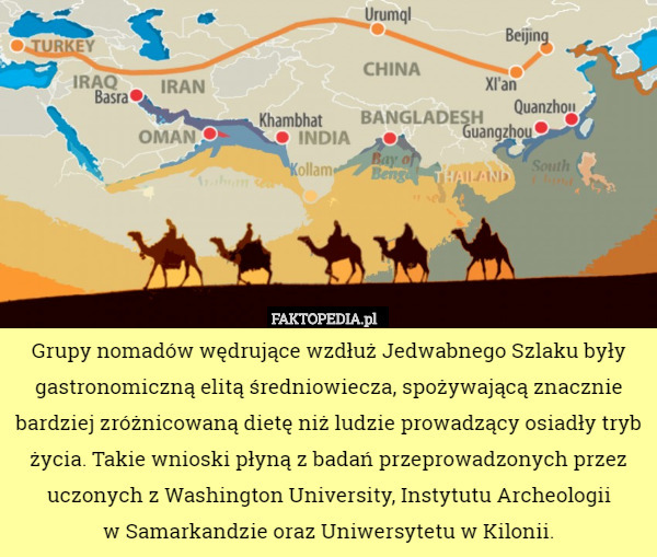 Grupy nomadów wędrujące wzdłuż Jedwabnego Szlaku były gastronomiczną elitą średniowiecza, spożywającą znacznie bardziej zróżnicowaną dietę niż ludzie prowadzący osiadły tryb życia. Takie wnioski płyną z badań przeprowadzonych przez uczonych z Washington University, Instytutu Archeologii
 w Samarkandzie oraz Uniwersytetu w Kilonii. 