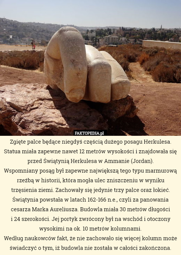 Zgięte palce będące niegdyś częścią dużego posagu Herkulesa. Statua miała zapewne nawet 12 metrów wysokości i znajdowała się przed Świątynią Herkulesa w Ammanie (Jordan).
Wspomniany posąg był zapewne największą tego typu marmurową rzeźbą w historii, która mogła ulec zniszczeniu w wyniku trzęsienia ziemi. Zachowały się jedynie trzy palce oraz łokieć.
Świątynia powstała w latach 162-166 n.e., czyli za panowania cesarza Marka Aureliusza. Budowla miała 30 metrów długości
 i 24 szerokości. Jej portyk zwrócony był na wschód i otoczony wysokimi na ok. 10 metrów kolumnami.
Według naukowców fakt, że nie zachowało się więcej kolumn może świadczyć o tym, iż budowla nie została w całości zakończona. 