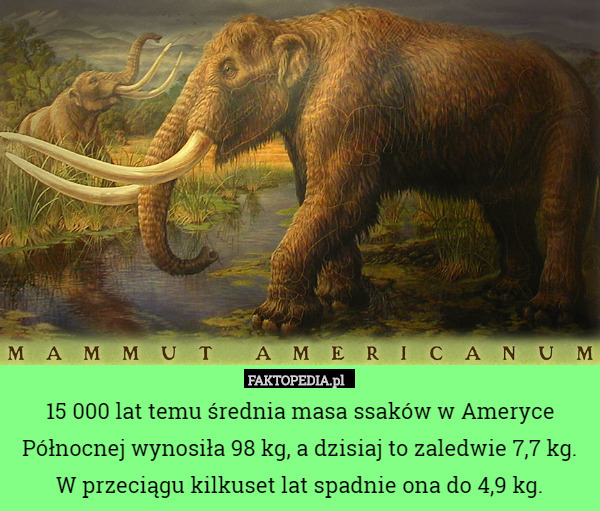 15 000 lat temu średnia masa ssaków w Ameryce Północnej wynosiła 98 kg, a dzisiaj to zaledwie 7,7 kg. W przeciągu kilkuset lat spadnie ona do 4,9 kg. 