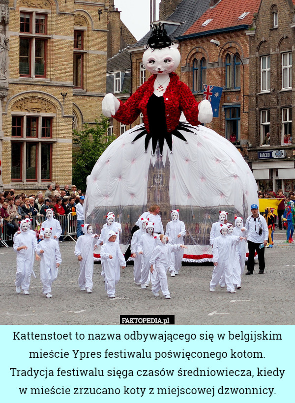 Kattenstoet to nazwa odbywającego się w belgijskim mieście Ypres festiwalu poświęconego kotom. Tradycja festiwalu sięga czasów średniowiecza, kiedy w mieście zrzucano koty z miejscowej dzwonnicy. 