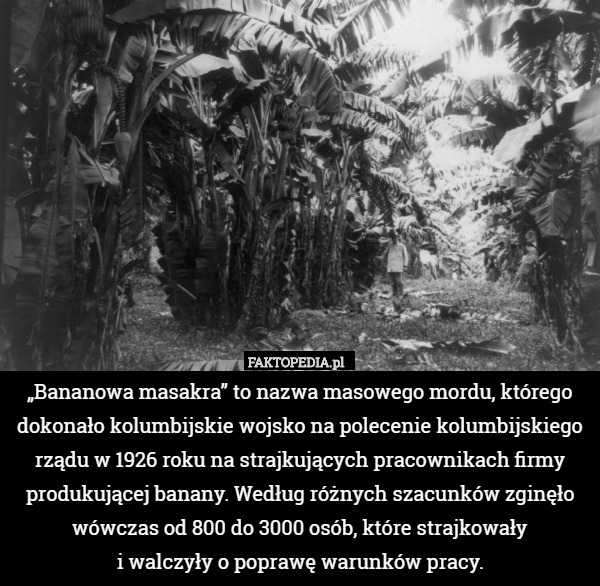 „Bananowa masakra” to nazwa masowego mordu, którego dokonało kolumbijskie wojsko na polecenie kolumbijskiego rządu w 1926 roku na strajkujących pracownikach firmy produkującej banany. Według różnych szacunków zginęło wówczas od 800 do 3000 osób, które strajkowały
 i walczyły o poprawę warunków pracy. 