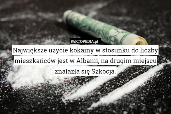 Największe użycie kokainy w stosunku do liczby mieszkańców jest w Albanii, na drugim miejscu znalazła się Szkocja. 