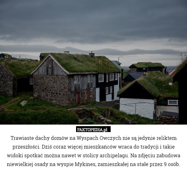 Trawiaste dachy domów na Wyspach Owczych nie są jedynie reliktem przeszłości. Dziś coraz więcej mieszkańców wraca do tradycji i takie widoki spotkać można nawet w stolicy archipelagu. Na zdjęciu zabudowa niewielkiej osady na wyspie Mykines, zamieszkałej na stałe przez 9 osób. 