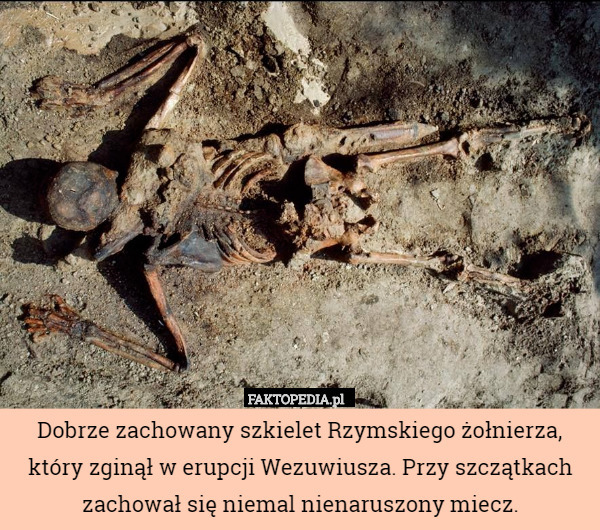 Dobrze zachowany szkielet Rzymskiego żołnierza, który zginął w erupcji Wezuwiusza. Przy szczątkach zachował się niemal nienaruszony miecz. 