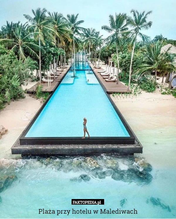 Plaża przy hotelu w Malediwach 