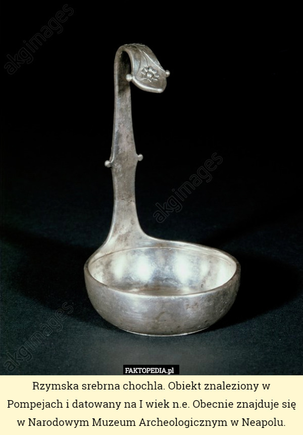 Rzymska srebrna chochla. Obiekt znaleziony w Pompejach i datowany na I wiek n.e. Obecnie znajduje się w Narodowym Muzeum Archeologicznym w Neapolu. 