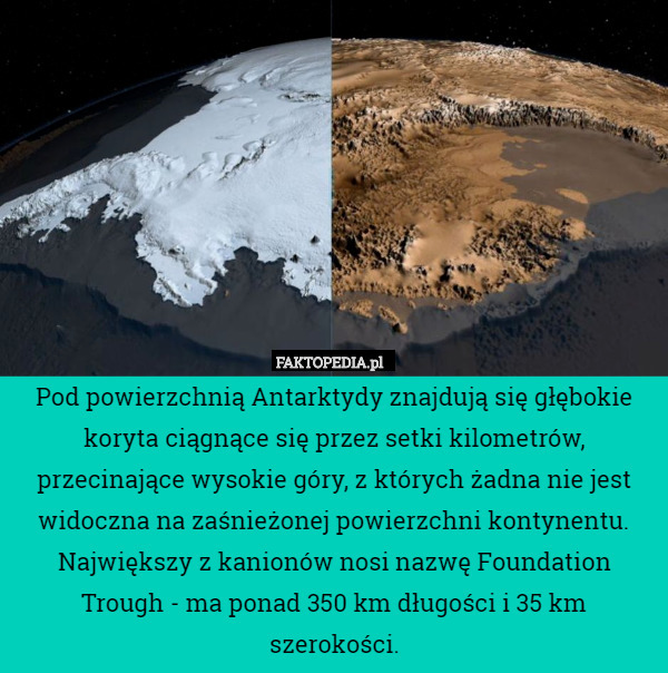 Pod powierzchnią Antarktydy znajdują się głębokie koryta ciągnące się przez setki kilometrów, przecinające wysokie góry, z których żadna nie jest widoczna na zaśnieżonej powierzchni kontynentu. Największy z kanionów nosi nazwę Foundation Trough - ma ponad 350 km długości i 35 km szerokości. 