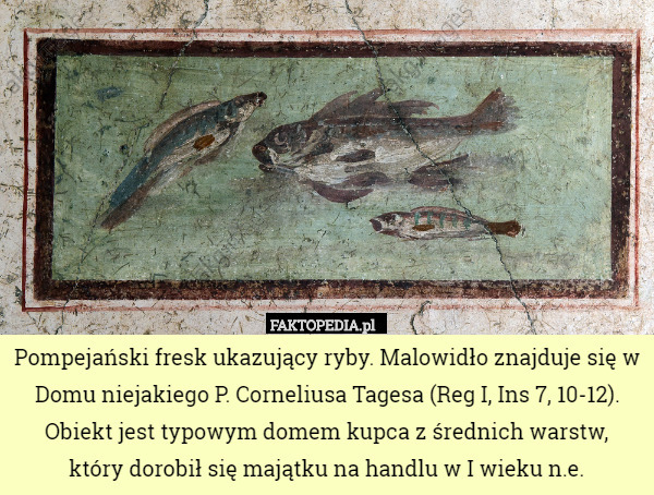 Pompejański fresk ukazujący ryby. Malowidło znajduje się w Domu niejakiego P. Corneliusa Tagesa (Reg I, Ins 7, 10-12).
Obiekt jest typowym domem kupca z średnich warstw,
 który dorobił się majątku na handlu w I wieku n.e. 