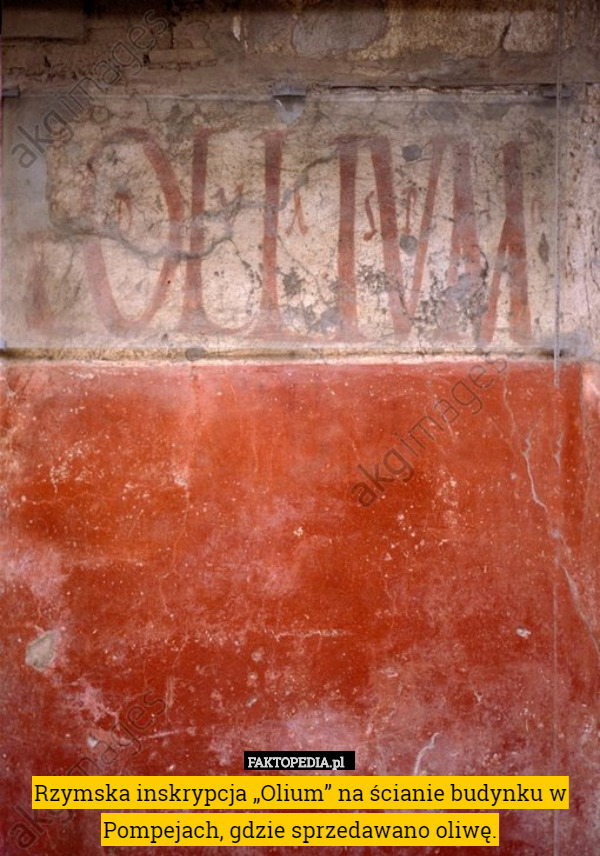 Rzymska inskrypcja „Olium” na ścianie budynku w Pompejach, gdzie sprzedawano oliwę. 