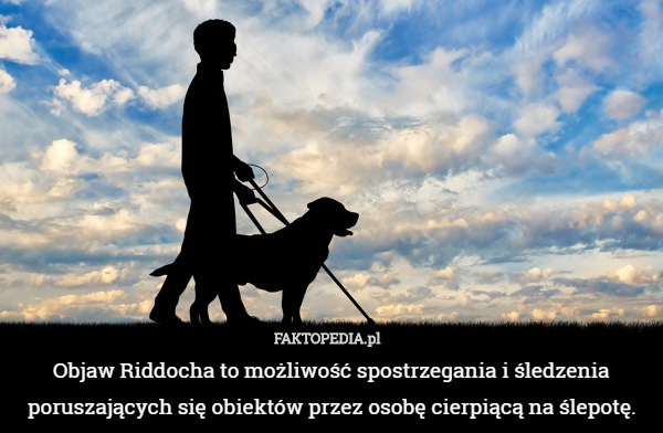 Objaw Riddocha to możliwość spostrzegania i śledzenia poruszających się obiektów przez osobę cierpiącą na ślepotę. 