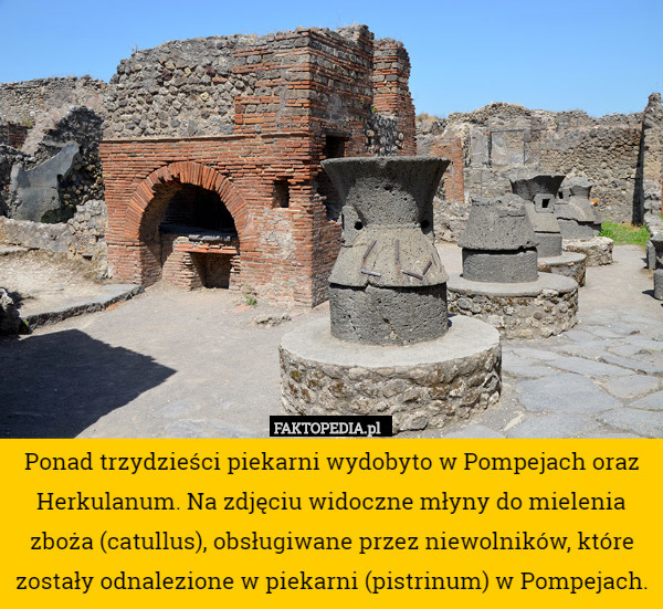 Ponad trzydzieści piekarni wydobyto w Pompejach oraz Herkulanum. Na zdjęciu widoczne młyny do mielenia zboża (catullus), obsługiwane przez niewolników, które zostały odnalezione w piekarni (pistrinum) w Pompejach. 