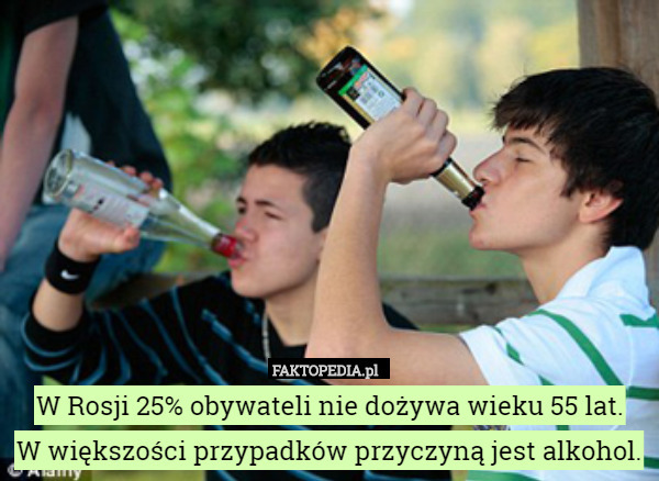 W Rosji 25% obywateli nie dożywa wieku 55 lat.
 W większości przypadków przyczyną jest alkohol. 