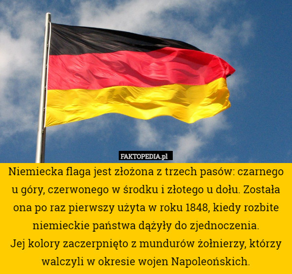 Niemiecka flaga jest złożona z trzech pasów: czarnego u góry, czerwonego w środku i złotego u dołu. Została ona po raz pierwszy użyta w roku 1848, kiedy rozbite niemieckie państwa dążyły do zjednoczenia.
 Jej kolory zaczerpnięto z mundurów żołnierzy, którzy walczyli w okresie wojen Napoleońskich. 