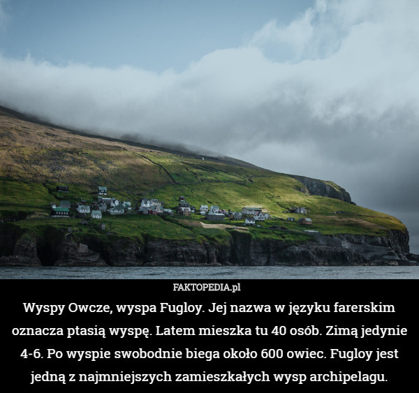 Wyspy Owcze, wyspa Fugloy. Jej nazwa w języku farerskim oznacza ptasią wyspę. Latem mieszka tu 40 osób. Zimą jedynie 4-6. Po wyspie swobodnie biega około 600 owiec. Fugloy jest jedną z najmniejszych zamieszkałych wysp archipelagu. 