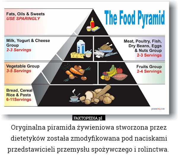 Oryginalna piramida żywieniowa stworzona przez dietetyków została zmodyfikowana pod naciskami przedstawicieli przemysłu spożywczego i rolinctwa. 