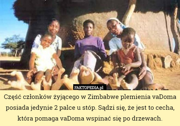 Część członków żyjącego w Zimbabwe plemienia vaDoma posiada jedynie 2 palce u stóp. Sądzi się, że jest to cecha, która pomaga vaDoma wspinać się po drzewach. 