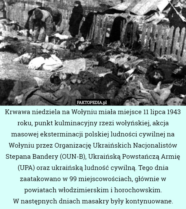 Krwawa niedziela na Wołyniu miała miejsce 11 lipca 1943 roku, punkt kulminacyjny rzezi wołyńskiej, akcja masowej eksterminacji polskiej ludności cywilnej na Wołyniu przez Organizację Ukraińskich Nacjonalistów Stepana Bandery (OUN-B), Ukraińską Powstańczą Armię (UPA) oraz ukraińską ludność cywilną. Tego dnia zaatakowano w 99 miejscowościach, głównie w powiatach włodzimierskim i horochowskim.
 W następnych dniach masakry były kontynuowane. 